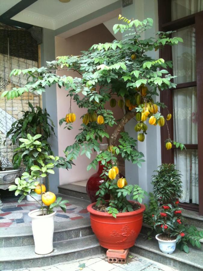 Thien Anh Hotel Hai Phong Bagian luar foto